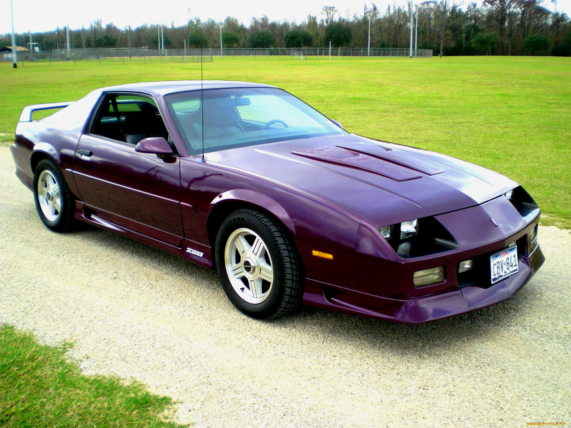 , camaro